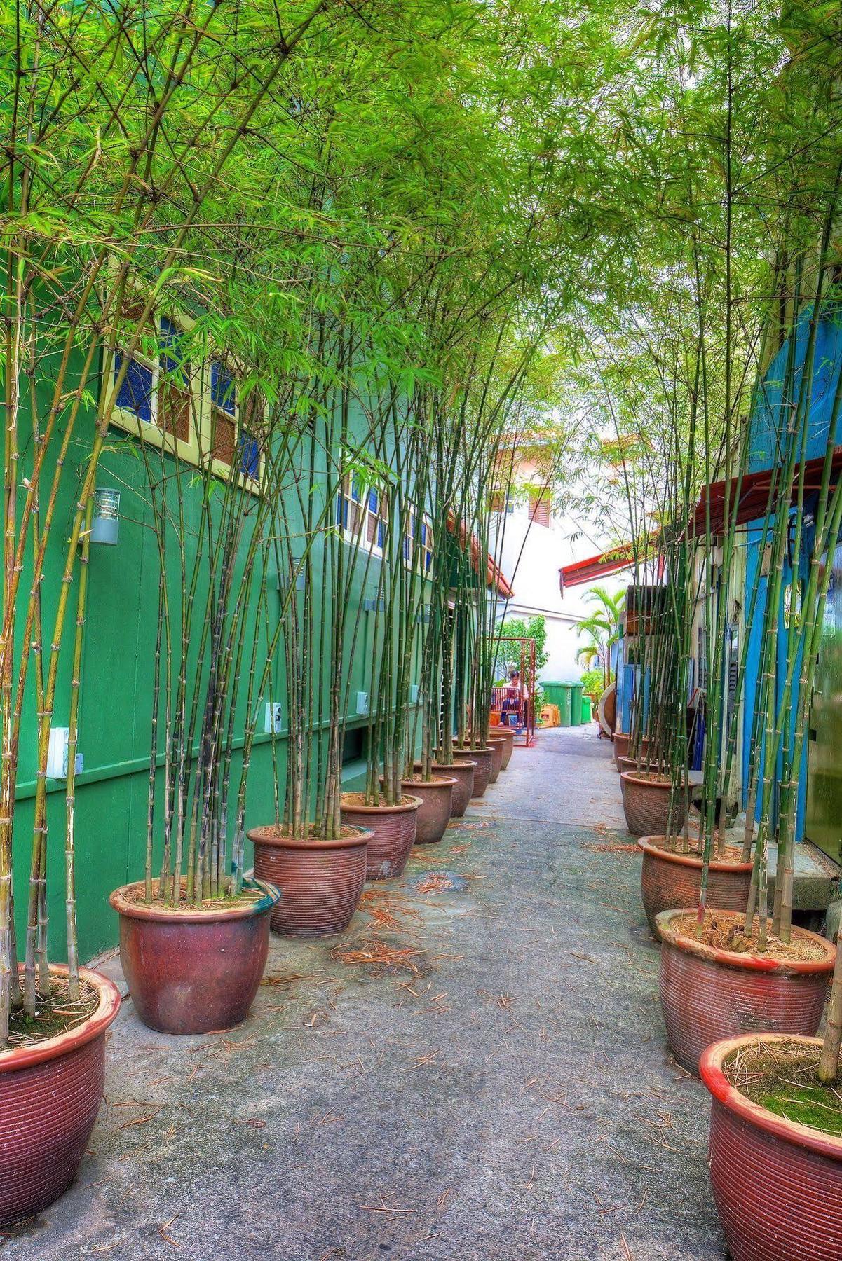 Superb Hostel Singapore Bagian luar foto